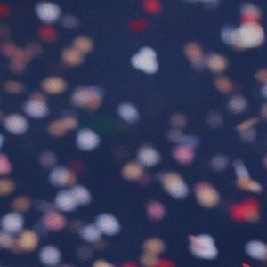 Meet your Posher, Nayla